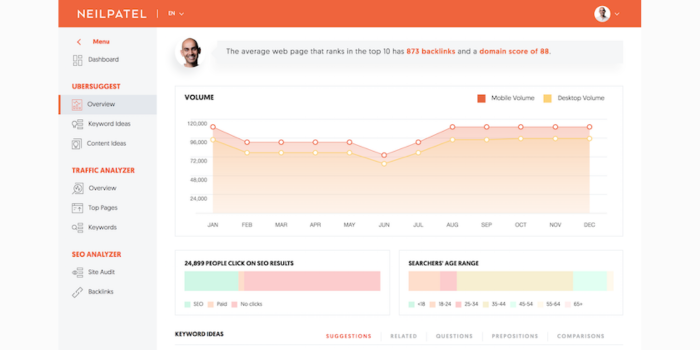 UberSuggest SEO Audit Tool