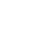 Personalized Audit Execution