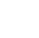 Custom Audit Execution