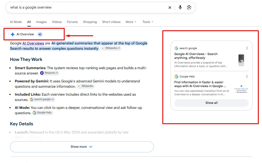 What is ai overview?