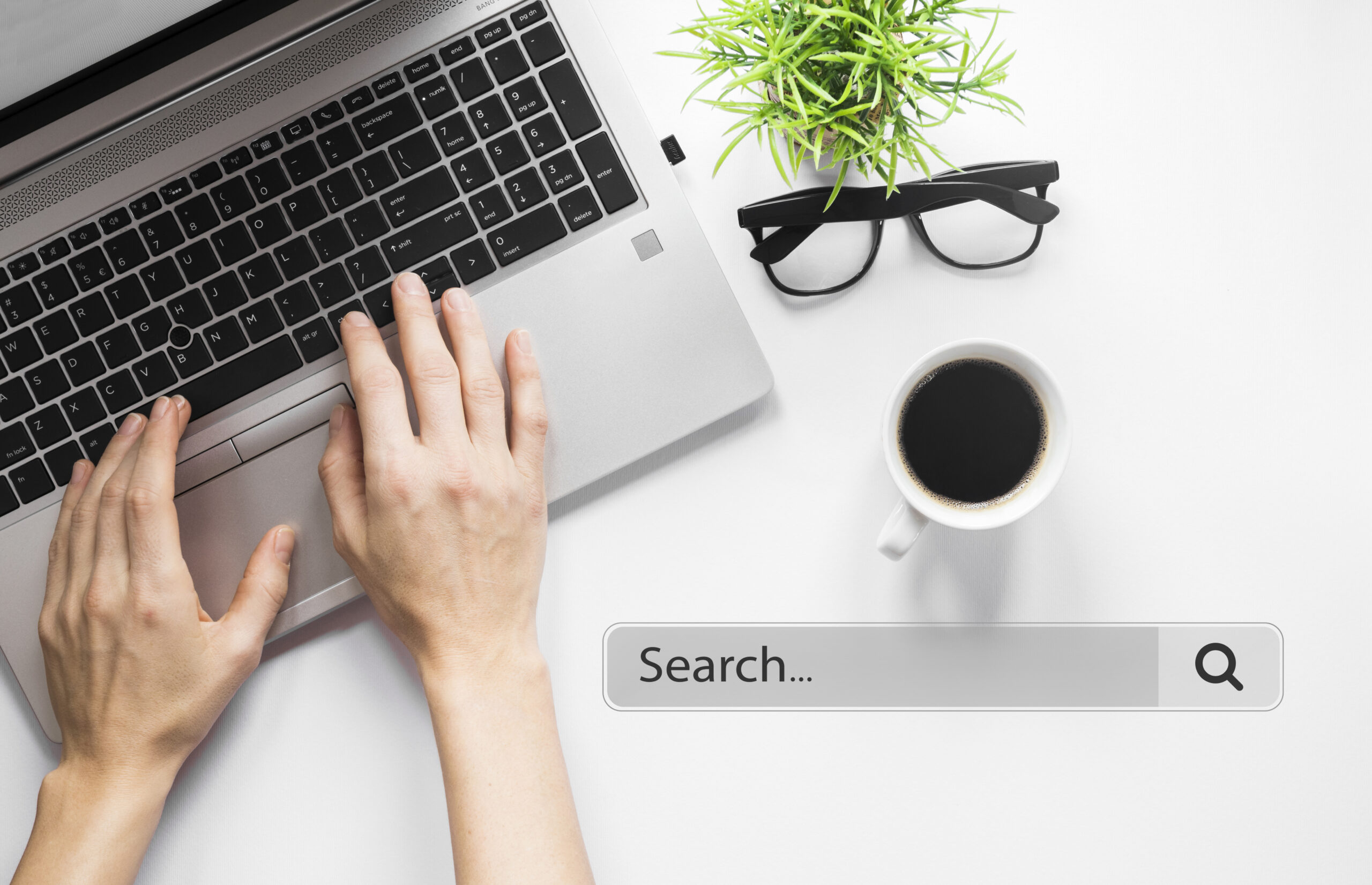 homepage-concept-with-search-bar (4)