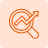 Website Audit & Analysis