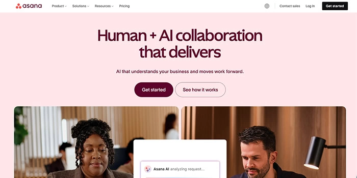 Asana | Saffron Edge