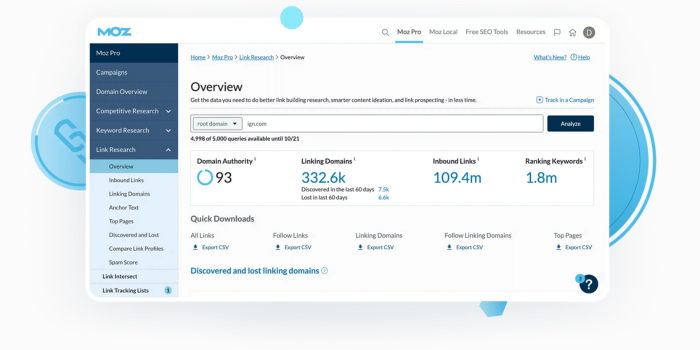 Moz Pro SEO Audit Tool